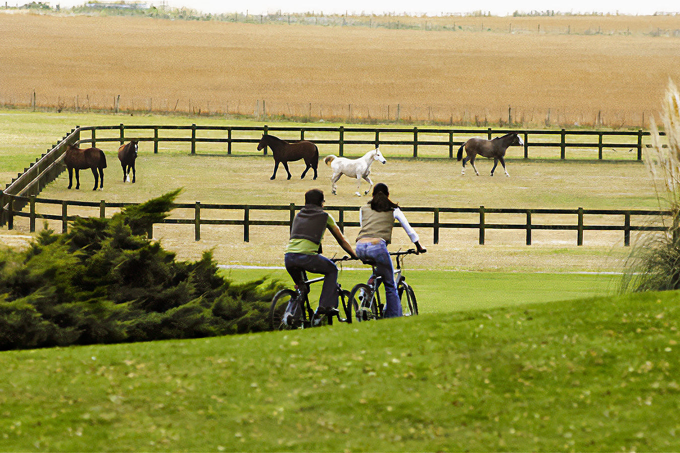 Estancia-La-Estrella-Actividades-9