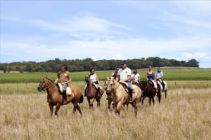 Cabalgatas con asistencia personalizada.